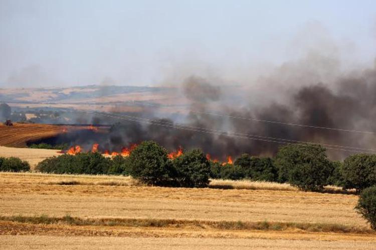 ÇOĞU İNSAN KAYNAKLI