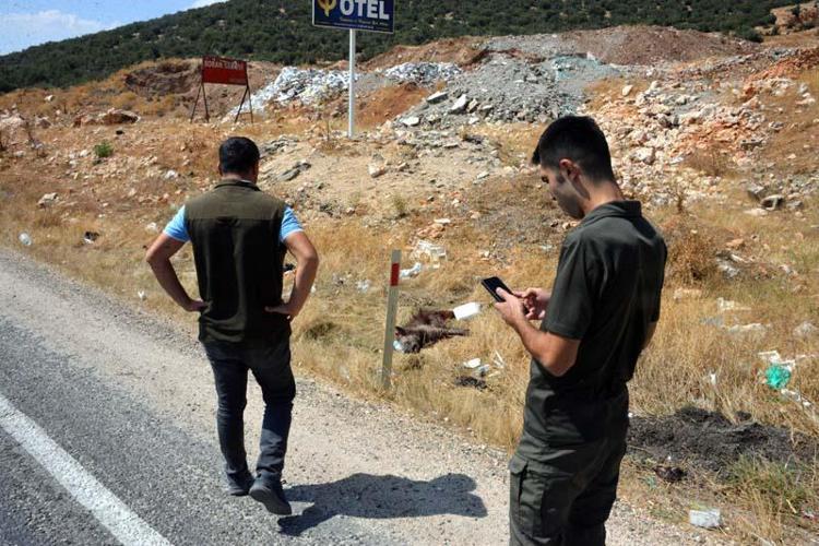 3 YILDA 2 KEZ GÖRÜLDÜ