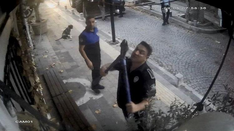 Sarıyerde tartışmaya neden olan zeytin ağaçlarına şafak operasyonu