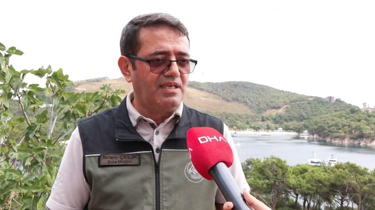 1 HEKTARA 1 ÜRÜN TAKMAMIZ YETERLİ