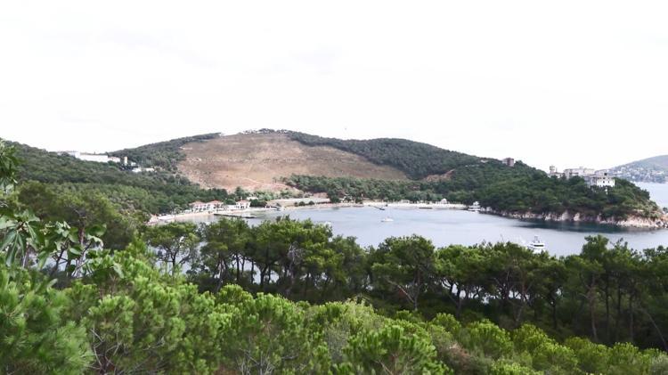 KOZALAK, SICAKLIK NEM VE KARBONDİOKSİT ÖLÇÜYOR