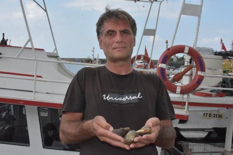 ŞU ANDA AVCILIKTAN MEMNUNUZ