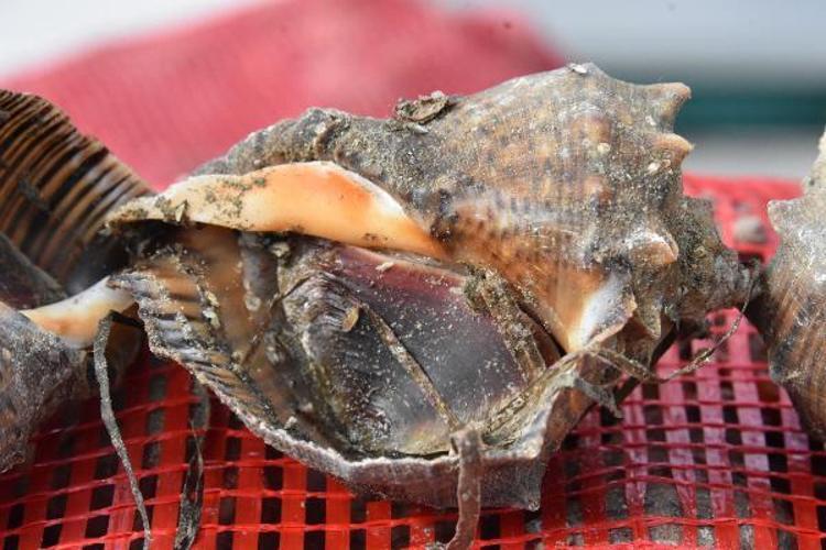 ÇOK GÖZÜKTÜĞÜ İÇİN BU 2 İL TERCİH EDİLDİ