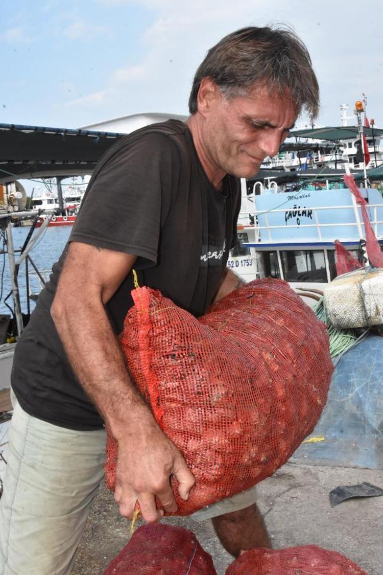 DENİZ SALYANGOZUNUN KİLOSU 25 TL