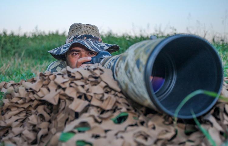 DİYARBAKIRDA 300DEN FAZLA KUŞ TÜRÜ VAR