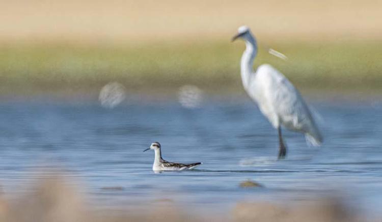 50 YIL ÖNCEDEN TESPİTLER VARDI