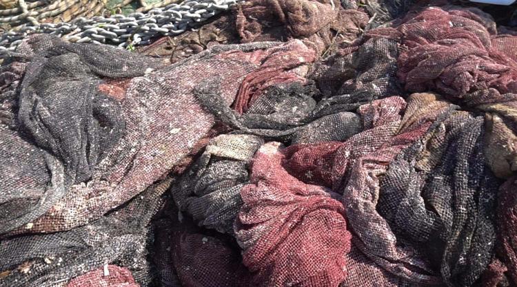 AÄžDAN KURTARIP YAÅžAM ALANINA BIRAKILDI