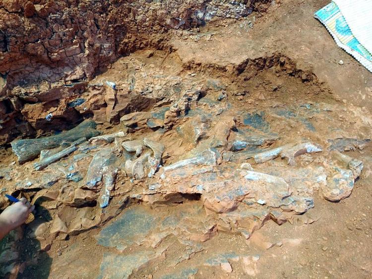 HAYVANLARIN GÖÇ HAREKETLERİNE İLİŞKİN İPUÇLARI ELDE EDECEĞİZ