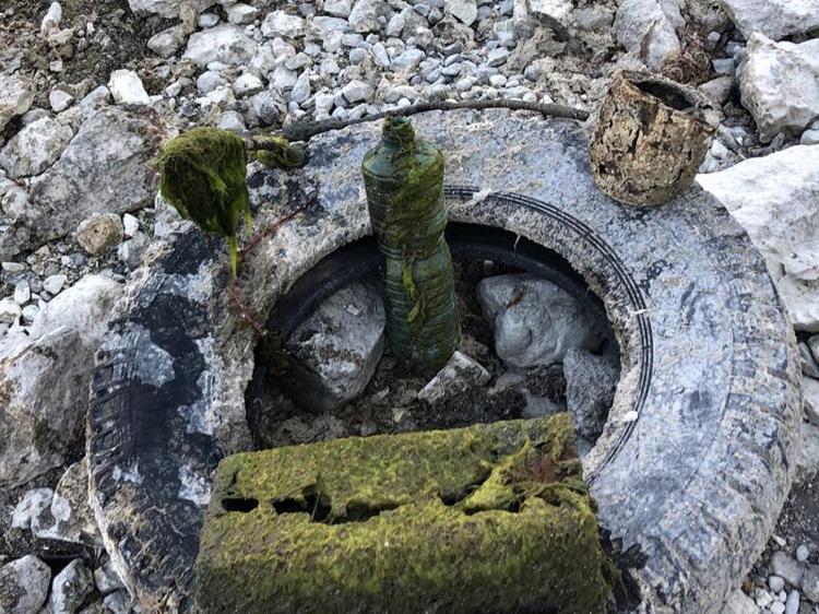 ÇÖZÜM DOĞANIN DÜZENİNİ BOZMADAN BARIŞIK YAŞAMAKTA