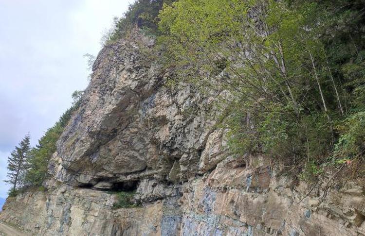 HER GELEN TURİST BİZE SERZENİŞTE BULUNUYOR