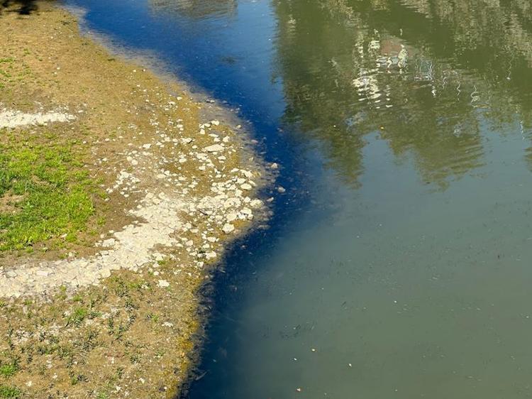 ‘BALIKLAR İÇİN TEMİZ SU TAKVİYESİ YAPIYORUZ’