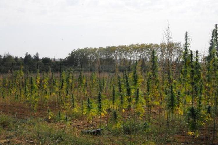 ‘ASIL HEDEFİMİZ KARBON BELGELENDİRMESİ YAPMAK’