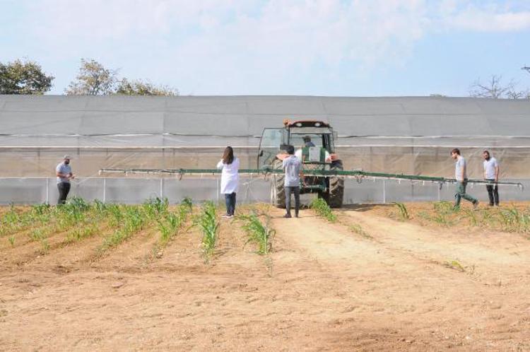 ‘GÜBREDEN ÇOK CİDDİ BİR TASARRUF EDİLİYOR’