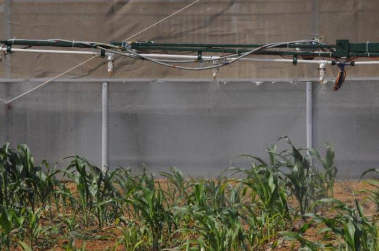 “YERLİ, MİLLİ ÜRÜNÜMÜZÜN ÜLKEMİZDE KALMASINI İSTİYORUZ”