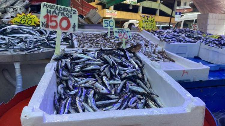 DENİZDEKİ BÜTÜN POPÜLASYONU AVLAMA PEŞİNDEYİZ