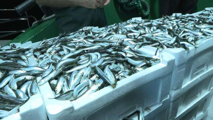 10 TON SU ÜRÜNÜNE EL KONULDU, 861 BİN LİRA İDARİ PARA CEZASI UYGULANDI