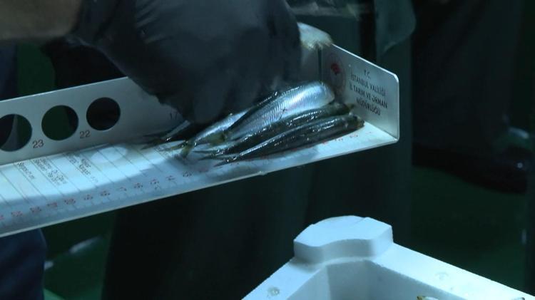 BALIKLARIN BOYU, BALIKÇILARIN BELGELERİ KONTROL EDİLDİ