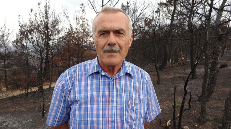 MAKİ BİTKİ ÖRTÜSÜ YENİDEN YEŞERMEYE BAŞLADI