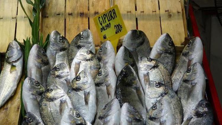 BALIK POPÜLASYONU ÇOK AZ