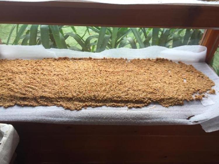 TÜRKİYENİN HER TARAFINA FİDAN VE TOHUM ULAŞTIK