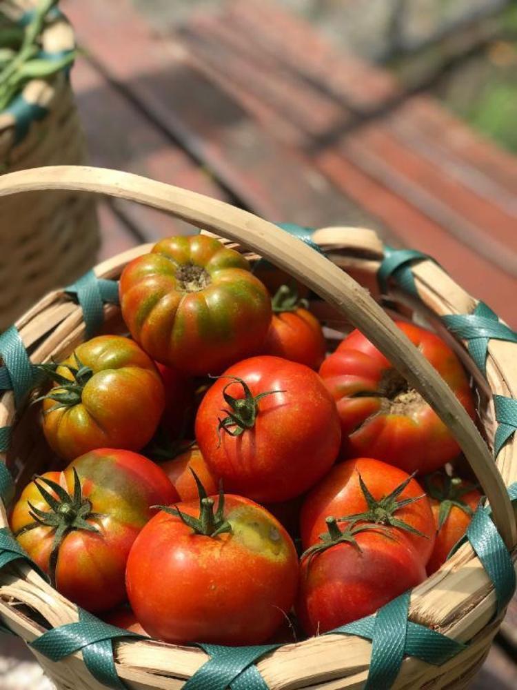 GELENEĞİMİZİ GELECEĞİMİZE TAŞIYACAĞIZ