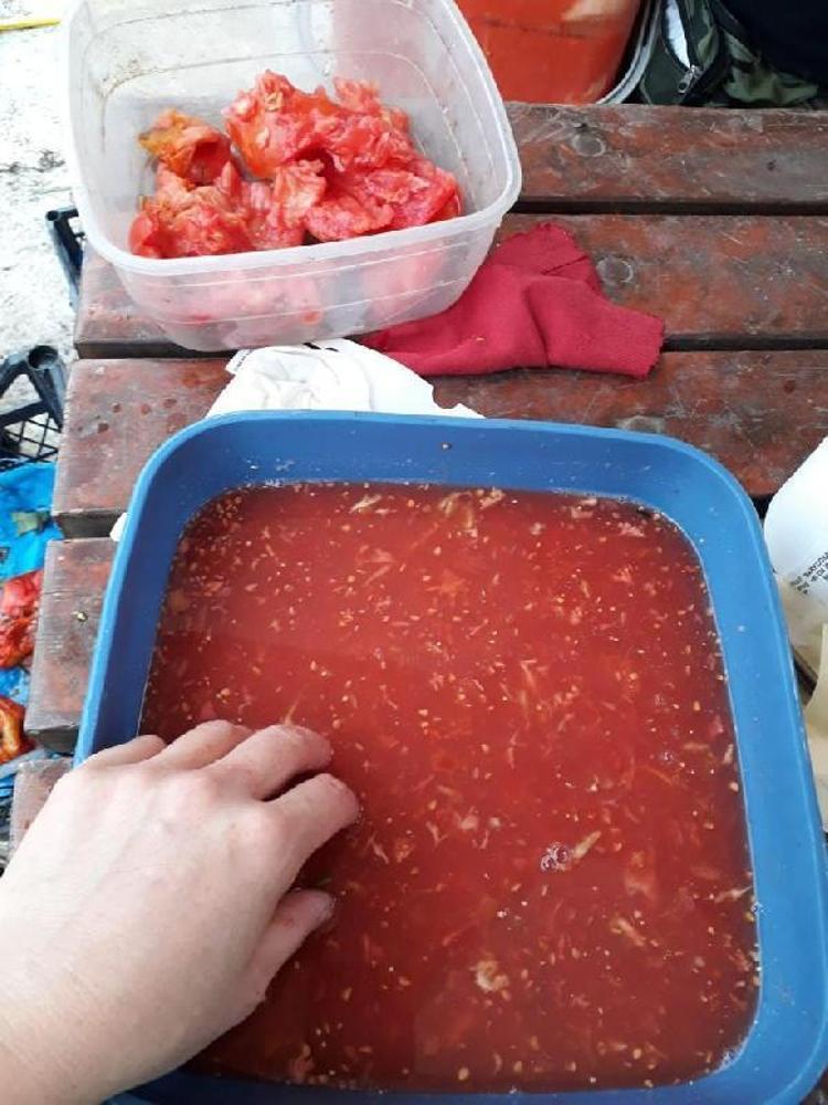 75 ÇEŞİT TOHUM YOLLADIK