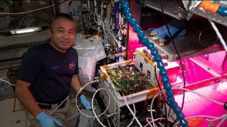 ‘KAYBETTİĞİM YÜZÜĞÜMÜ BİR GÜN SONRA BULDUM’