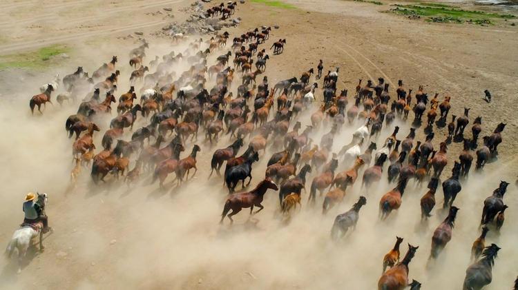 ENDEMİK BİTKİ VE KUŞ TÜRLERİ VAR