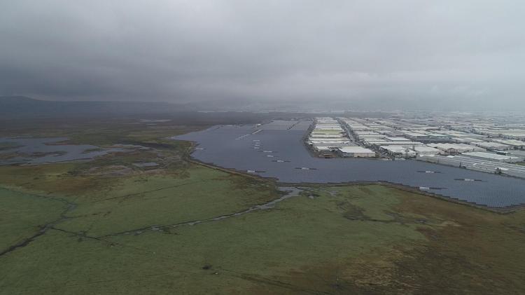 İKLİM DEĞİŞİKLİĞİ AÇISINDAN SULAK ALANLAR ÇOK ÖNEMLİ