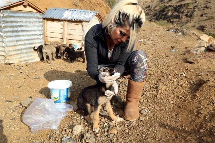 ELİMDEN GELDİĞİNCE KÖPEKLERİ BESLEYECEĞİM