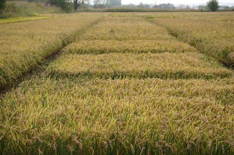 ÜRETİCİNİN TALEBİ ÇOK ÖNEMLİ