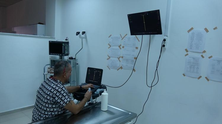 ENTERESAN BİR AİLE