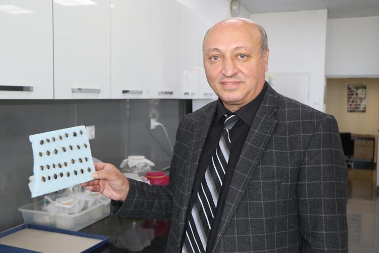 İSTİLACI BİR BÖCEK