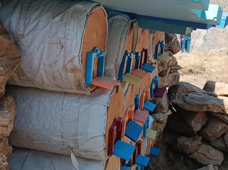 ‘BU SENEKİ BAL VERİMİ DÜŞÜK’