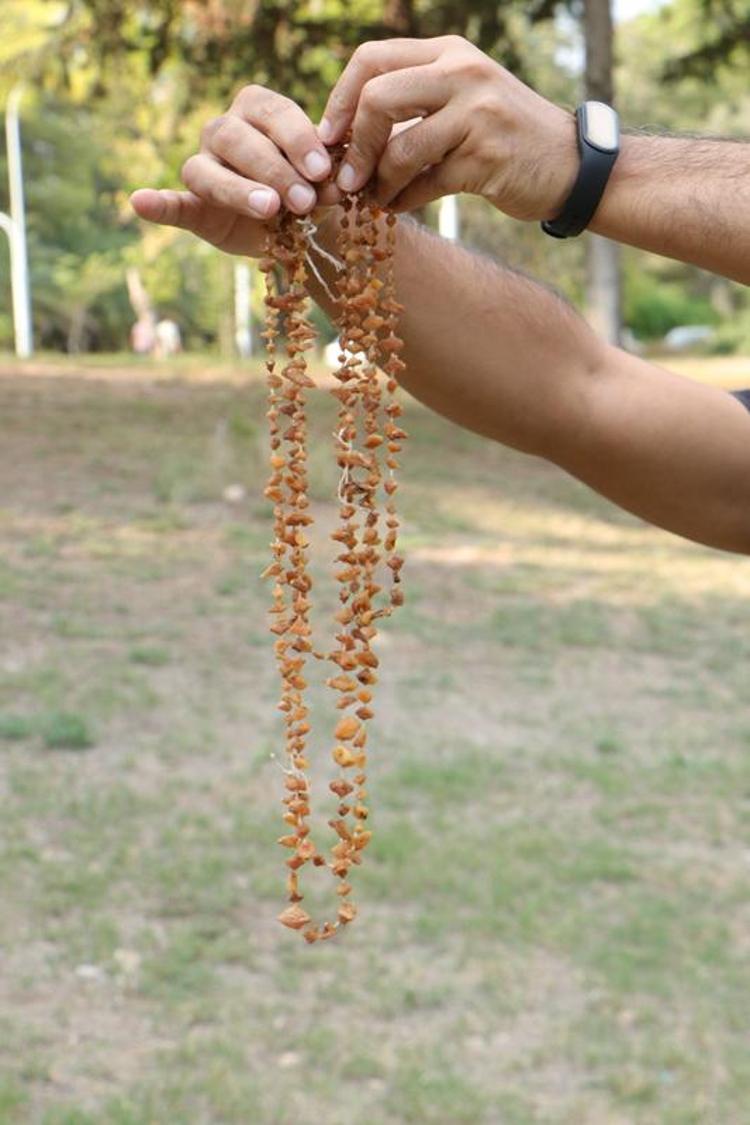 SALEP ÜRETİMİ İÇİN BAKANLIK İZNİ GEREKİYOR