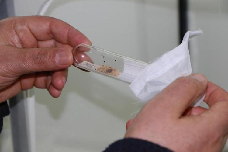 500 RAKIMA KADAR ZARAR VERDİĞİNİ GÖRÜYORUZ