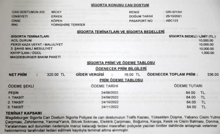 YALNIZCA KEDİ VE KÖPEK İÇİN