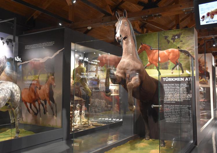 BACAKLARI KALIN KAS YAPISINA SAHİP VE DAYANIKLI