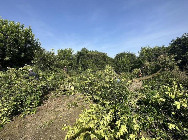 ÜRETİCİLER UMUTSUZ