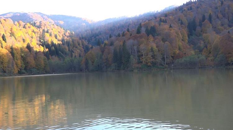 ‘RENGARENK BİR YER’