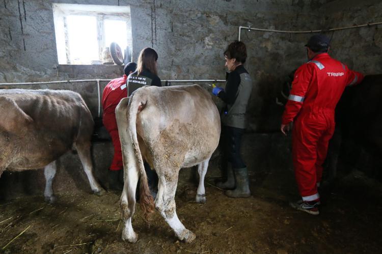 KADINLAR BAZEN İŞLERİNİ DAHA DİKKATLİ YAPIYOR