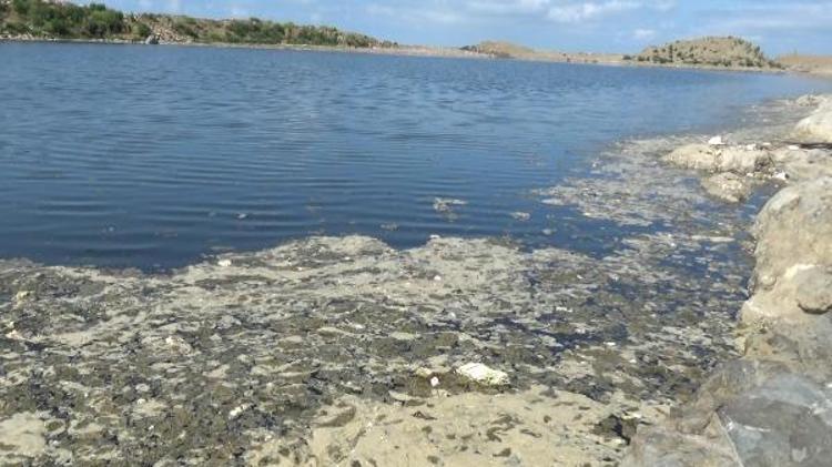 ‘TRABZON’UN ALAN PROBLEMİ VAR’