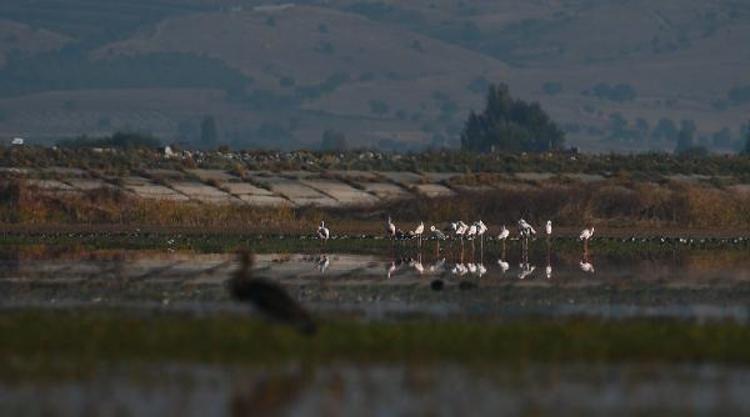 BURADA ONU GÖRMEK MUTLULUK VERİCİ