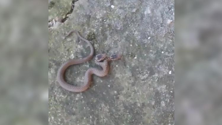 TUTMAYA ÇALIŞILMAMALI