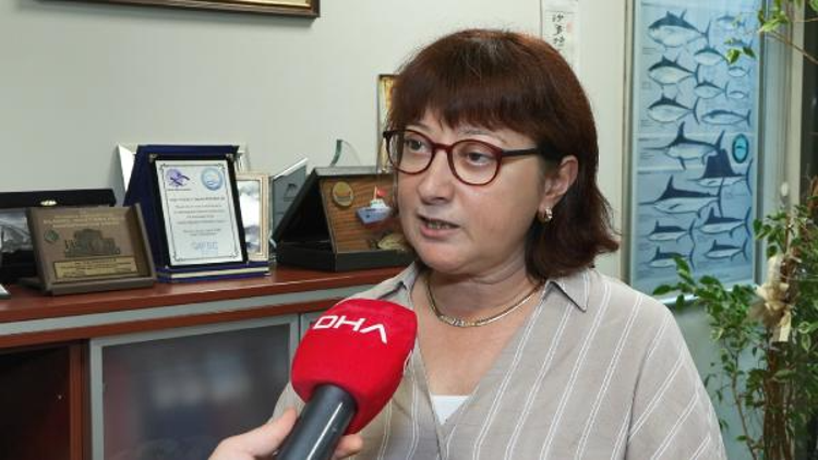 YAVRU BALIKLARIN HEPSİNİN ÖLDÜĞÜNÜ GÖSTERMEKTE