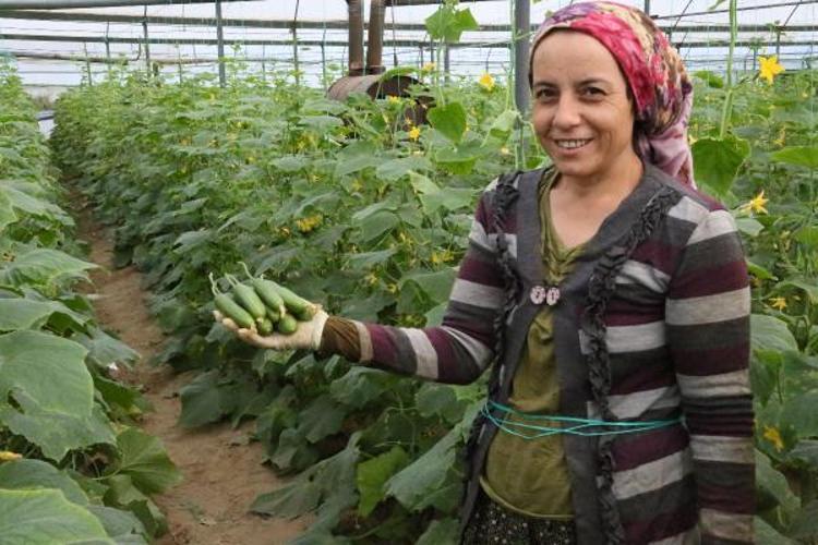 FİYATLARDAKİ DÜŞÜŞ YÜZDE 50Yİ BULDU