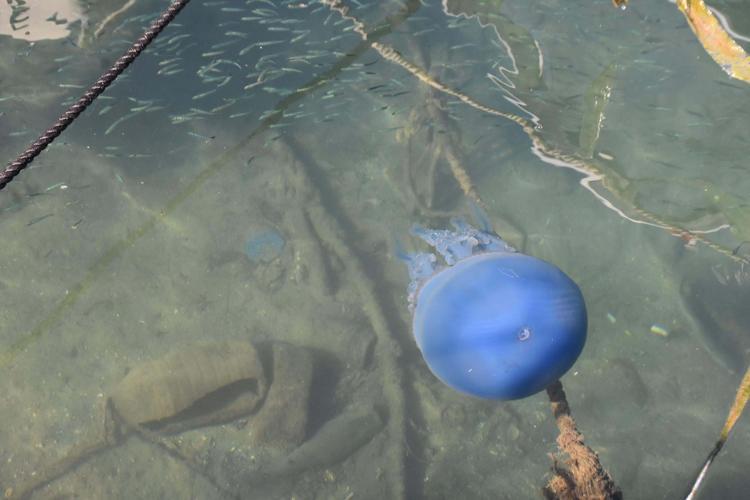 KAZANCIMIZI ETKİLEDİ