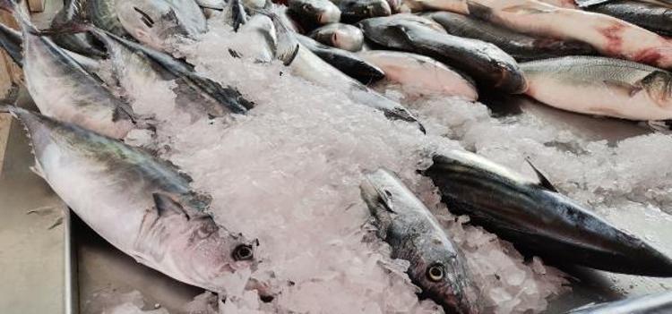 ‘BALIK STOKLARIMIZIN ÜZERİNDE AV BASKISI VAR’