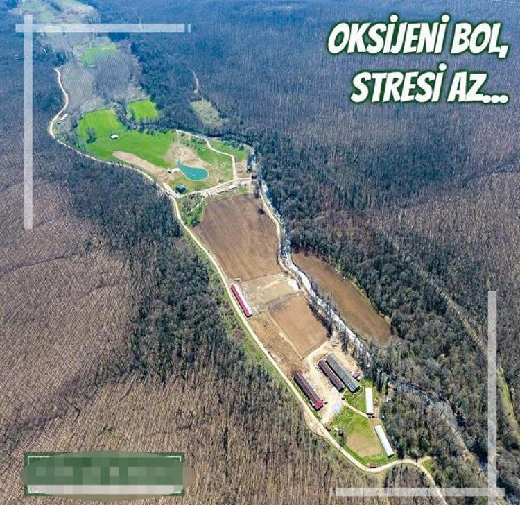 SORUMLULUĞUM VE KUSURUM OLMADIĞI KANAATİNDEYİM