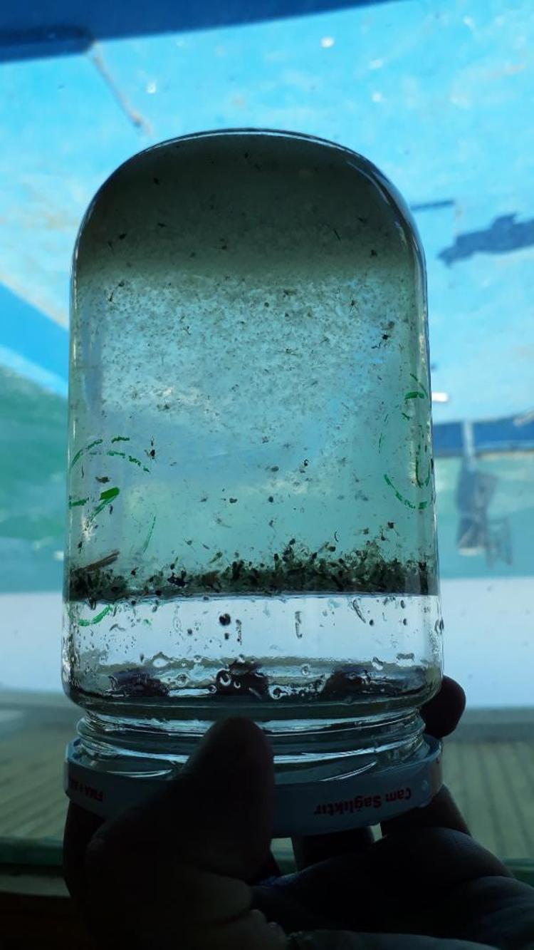 VAN GÖLÜNDE CİDDİ ANLAMDA PLASTİK ATIK VAR